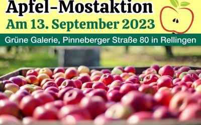 13. September 2023 Apfel-Mostaktion in der Baumschule Reinke
